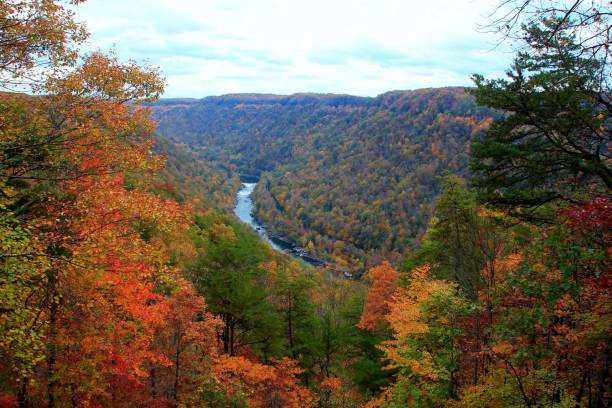 istock New river gorge in West Virginia during fall colors 1254457381