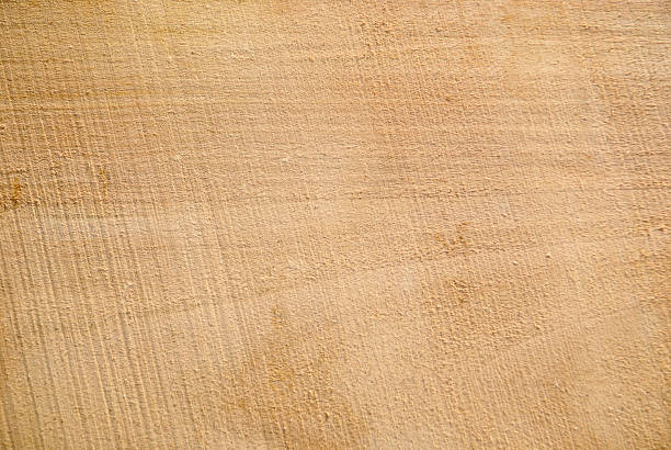 Texture of freshly sawn wood, background, closeup
