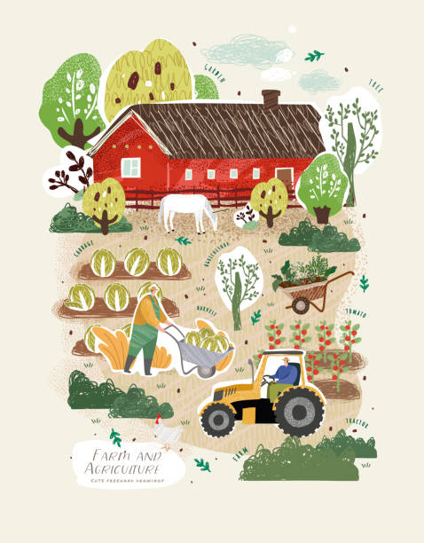 landwirtschaft und landwirtschaft. vektor niedliche illustrationen von männern trägt schubkarre karren, traktor auf dem feld, gemüseernte im garten, rote scheune, bäume, pferd. freihandzeichnungen für poster, banner oder postkarte - green crop tractor planting stock-grafiken, -clipart, -cartoons und -symbole