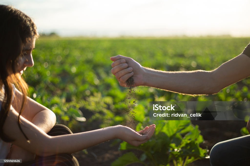 Fathers hand giving soil to a child for planting together Dirt Stock Photo