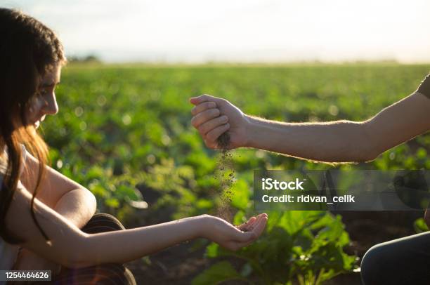Fathers Hand Giving Soil To A Child For Planting Together Stock Photo - Download Image Now