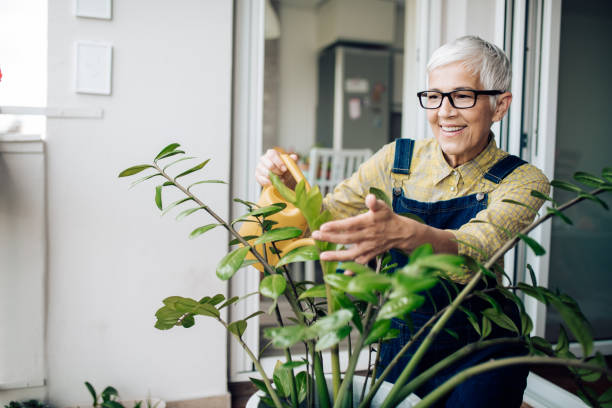 istock Senior woman watering her plants 1254464781