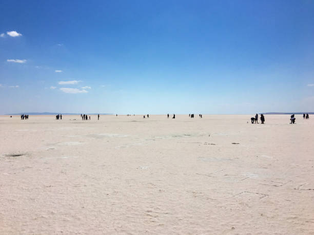 istock People on Salt Lake 1254465758