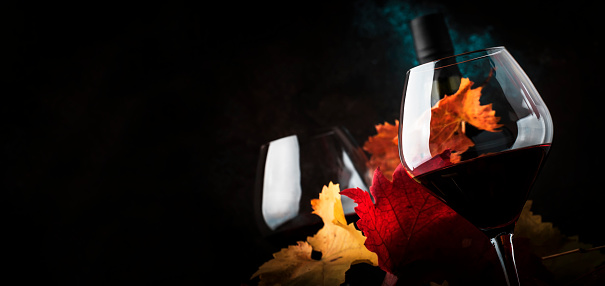 Dry Red Wine in big wine glass, autumn still life with leaves, wine tasting concept. Panoramic banner with copy space