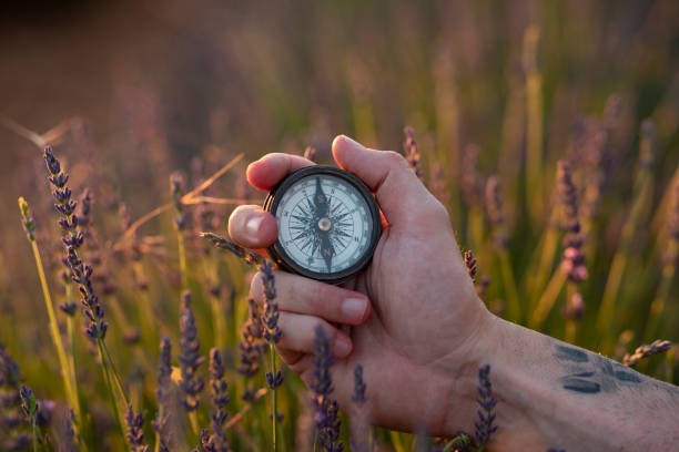 istock hand holds a compass in flower field 1254467504