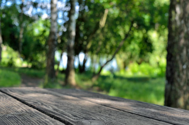 istock Wooden table on a background of green trees 1254468647