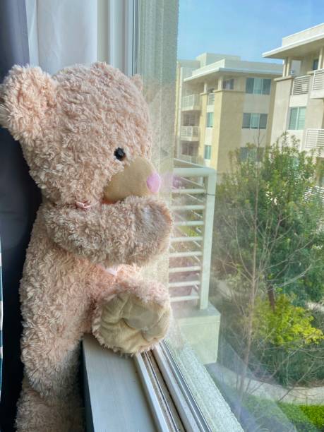 istock Teddy bear at window during COVID-19 1254469610