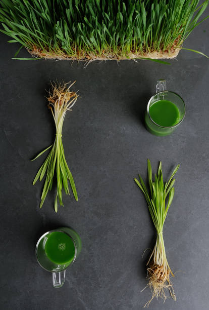 緑の小麦の草ジュース。 - wheatgrass alternative medicine detoxification juice ストックフォトと画像