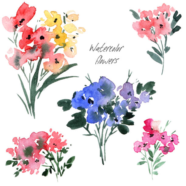 ilustrações de stock, clip art, desenhos animados e ícones de watercolor floral arrangments - stem poppy fragility flower
