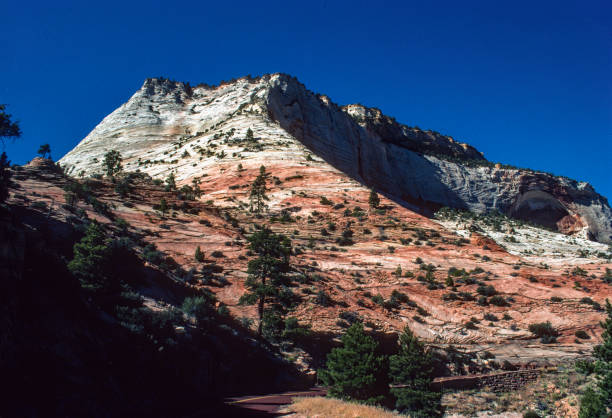 istock Zion National Park - Checkerboard Mesa & Road - 1998 1254472114