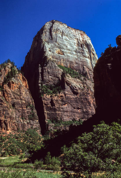 Zion National Park - Great White Throne - 1998