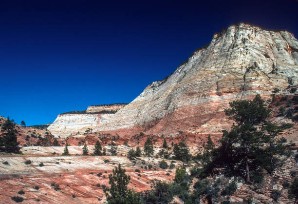 Zion National Park - Checkerboard Mesa - 1998. Scanned from Kodachrome slide.