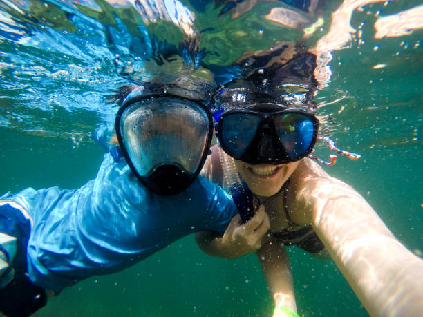 nadando nos oceanos da ilha catalina - mergulho autónomo - fotografias e filmes do acervo