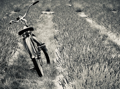 Bicycle in field, black and white,still life, horizontal.\nOLYMPUS DIGITAL CAMERA