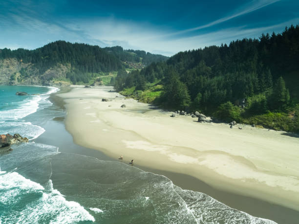 People details edited/changed.\n\nOregon coast - Lincoln City / Oceanlake.\nUSA