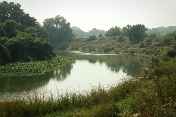 istock Indian a small river bank side seen. 1254478836