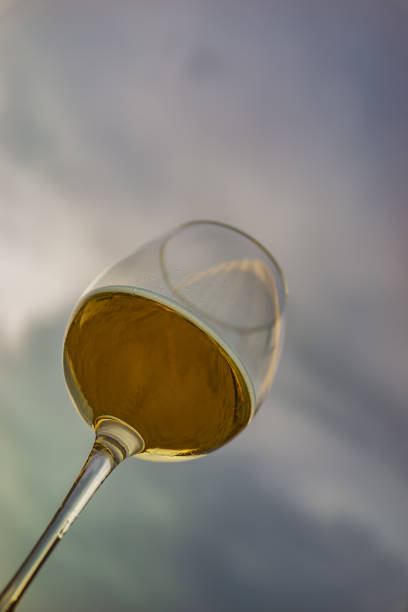 istock The glass of wine 1254478894