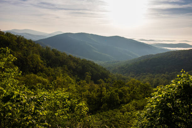 istock Shenandoah National Park 1254485470