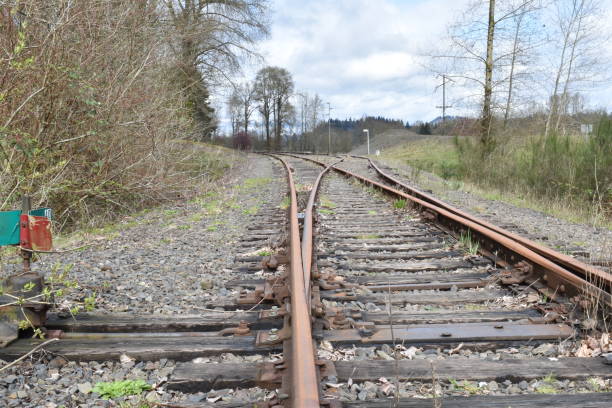 istock Abandoned railroad tracks, overgrown with grass. 1254486991