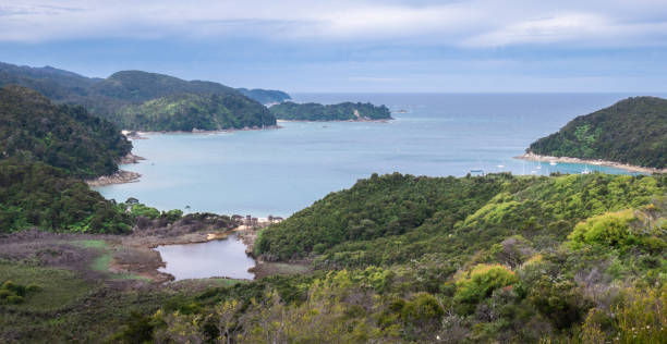 istock Tropical coast with inlets and peninsulas 1254490422