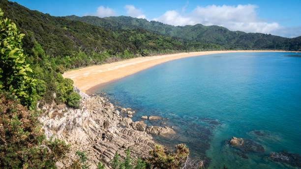 View on the tropical beach with golden sands and azure waters Landscape shot made in Abel Tasman National Park, New Zealand abel tasman national park stock pictures, royalty-free photos & images