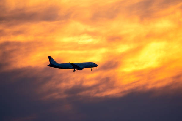 istock Airplane landing on orange cloudy dramatic sunset. Travel concept. 1254495005
