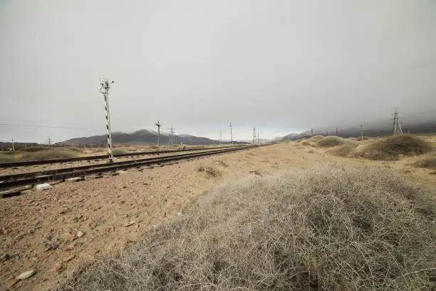 Photo of Railway to the mountains. Wildlife of Kyrgyzstan.