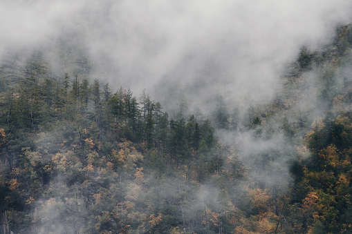 fog over the hillside of mountain with snowy top. stunning landscape in late autumn