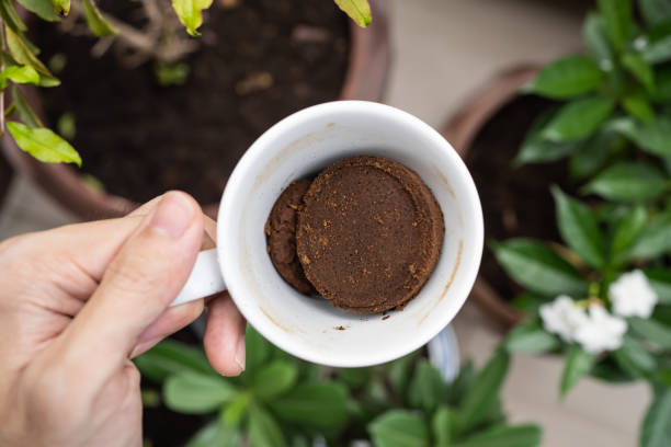 utilisation du café moulu comme engrais - humus soil photos et images de collection