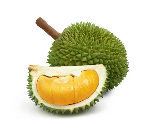 Photo of Durian isolated on white background