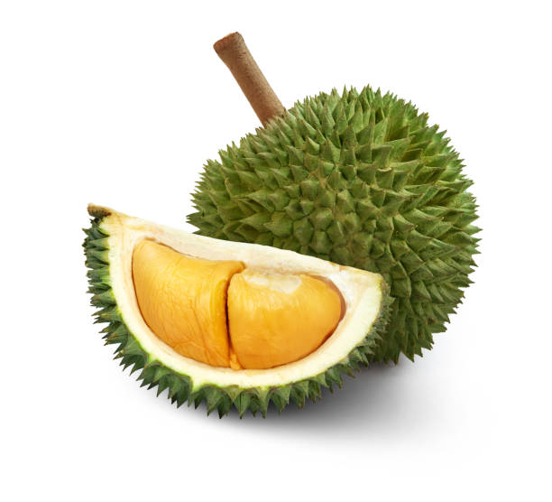 istock Durian isolated on white background 1254506324