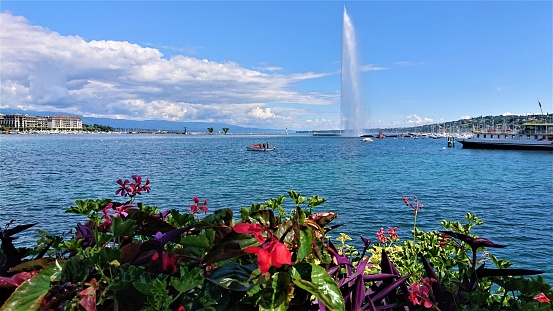 Lake Geneva. Swiss. June.