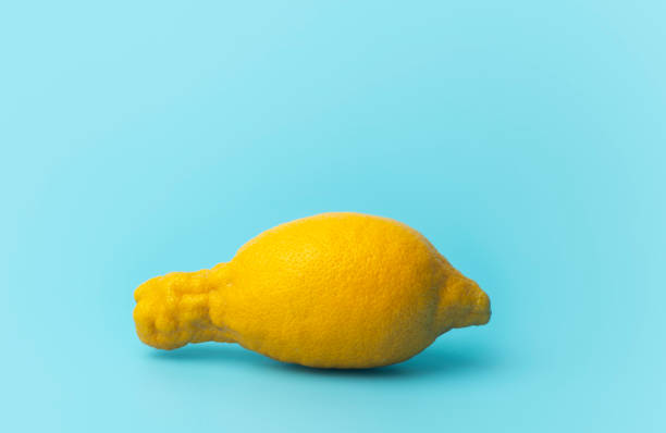 Ugly food and ugly vegetables concept. Ugly lemon on a blue minimal background. Ugly food and ugly vegetables concept. Ugly lemon on a blue minimal background. deformed stock pictures, royalty-free photos & images