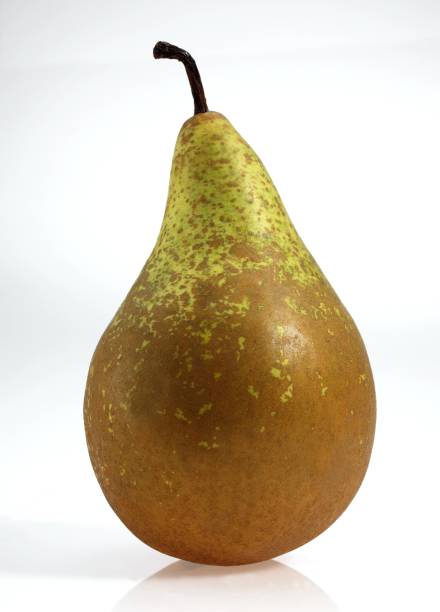 istock Conference Pear, pyrus communis, Fruit against White Background 1254518142