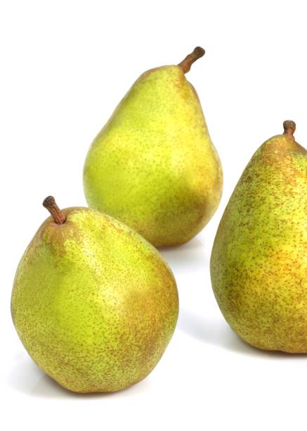 istock Comice Pear, pyrus communis, Fruits against White Background 1254518192