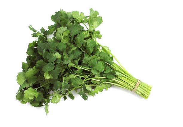 istock Coriander, coriandrum sativum against White Background 1254519274