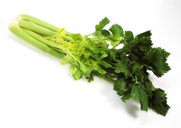 istock Celery, apium graveolens dulce, Vegetable against White Background 1254519295