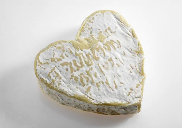 istock Neufchatel, French Cheese produced in Normandy from Cow's Milk 1254520442