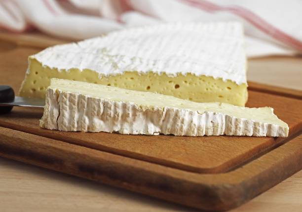istock Brie de Meaux, a French Cheese made from Cow's Milk 1254520753