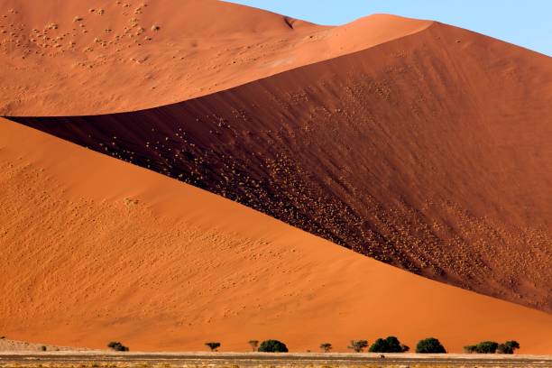 istock Namib-Naukluft Park, Sossusvlei Dunes, Namibia 1254524227