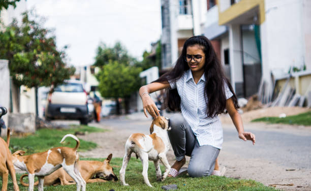 istock girl playing with puppies 1254525032