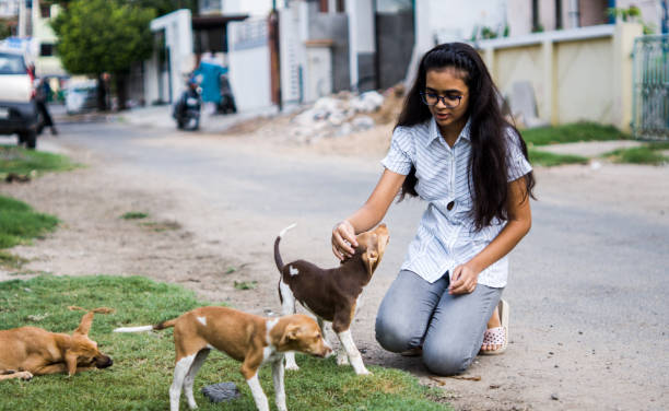 istock girl playing with puppies 1254525033