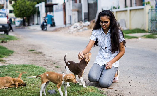 Young teenager girl playing with Indian street puppies