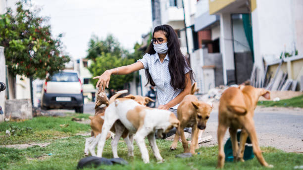 istock girl playing with puppies 1254525040