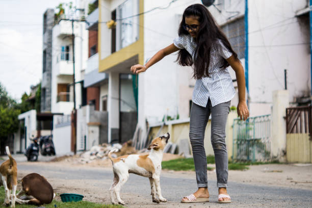 istock girl playing with puppies 1254525047