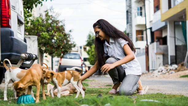 istock girl playing with puppies 1254525074