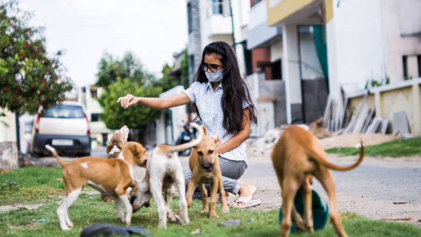istock girl playing with puppies 1254525093