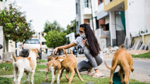 istock girl playing with puppies 1254525127