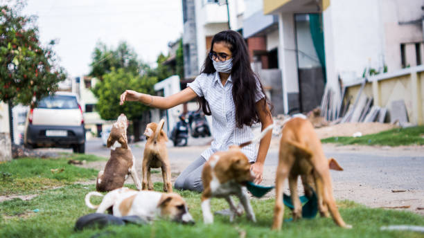 girl playing with puppies