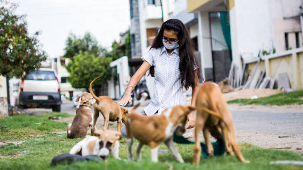 istock girl playing with puppies 1254525221